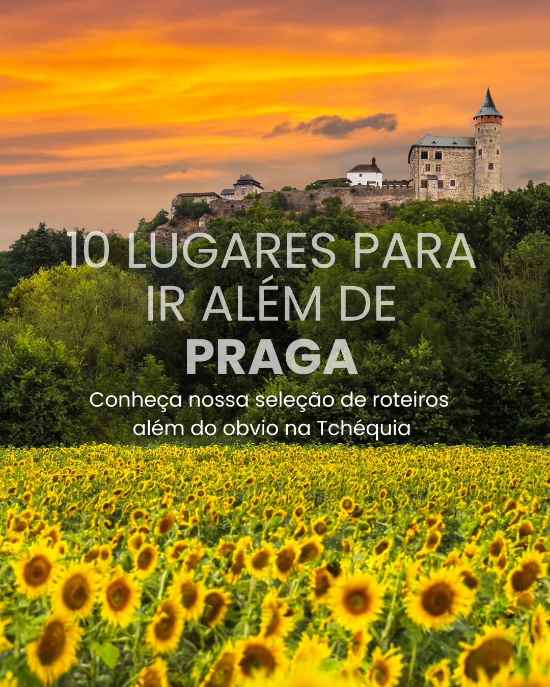 ver instagram