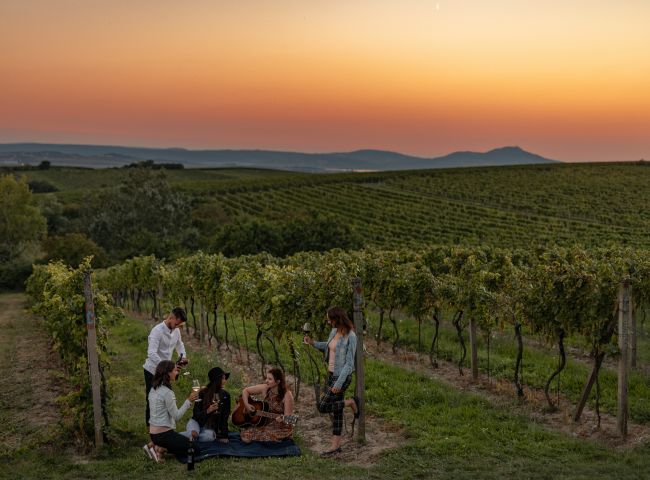 República Tcheca além de Praga: sabores, bebidas e experiências únicas