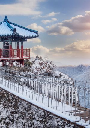 Coreia do Sul