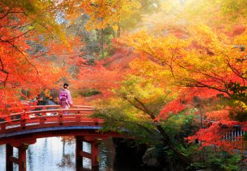 galeria Pontos turísticos Japão