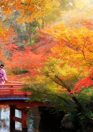 Japão