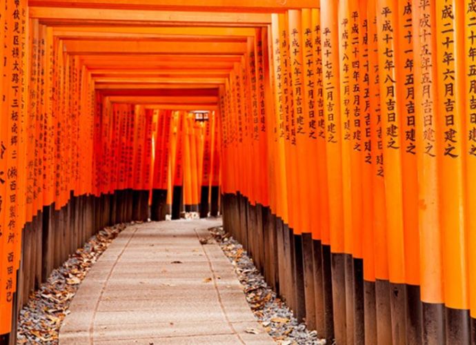 observacoes importantes