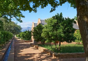imagem galeria