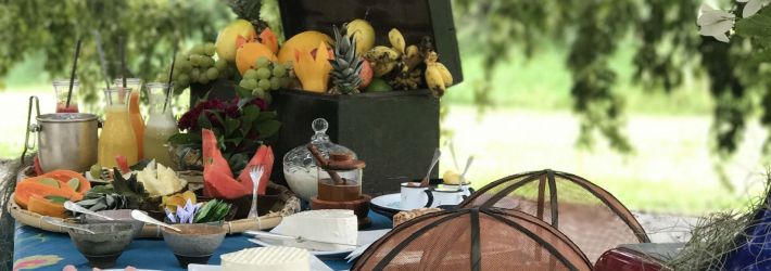 Férias no IBITI PROJETO