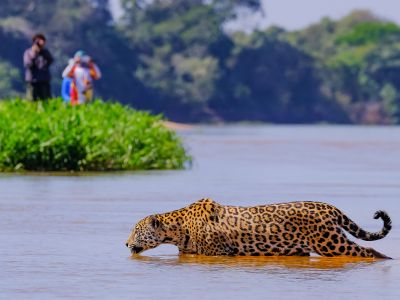 Pantanal River Cruise