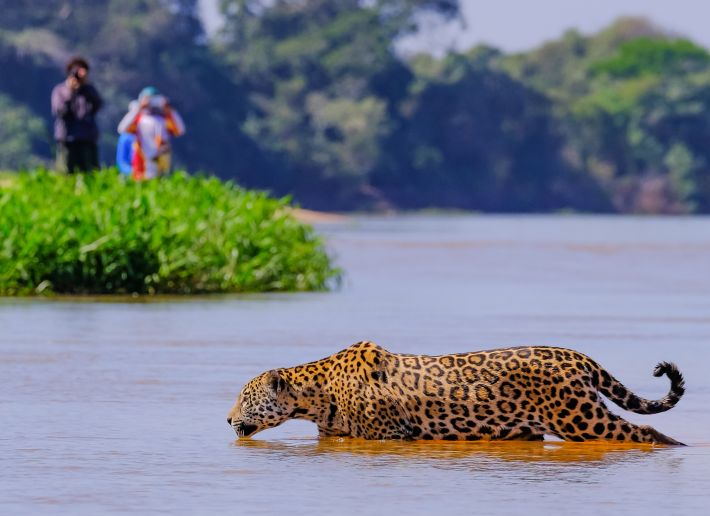 Pantanal River Cruise
