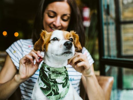 Roteiro Pet Friendly em Fortaleza:  Viaje com seu pet